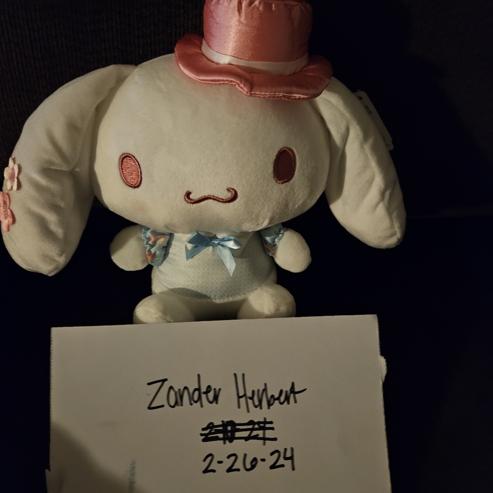 Small Sakura Cinnamoroll Plush